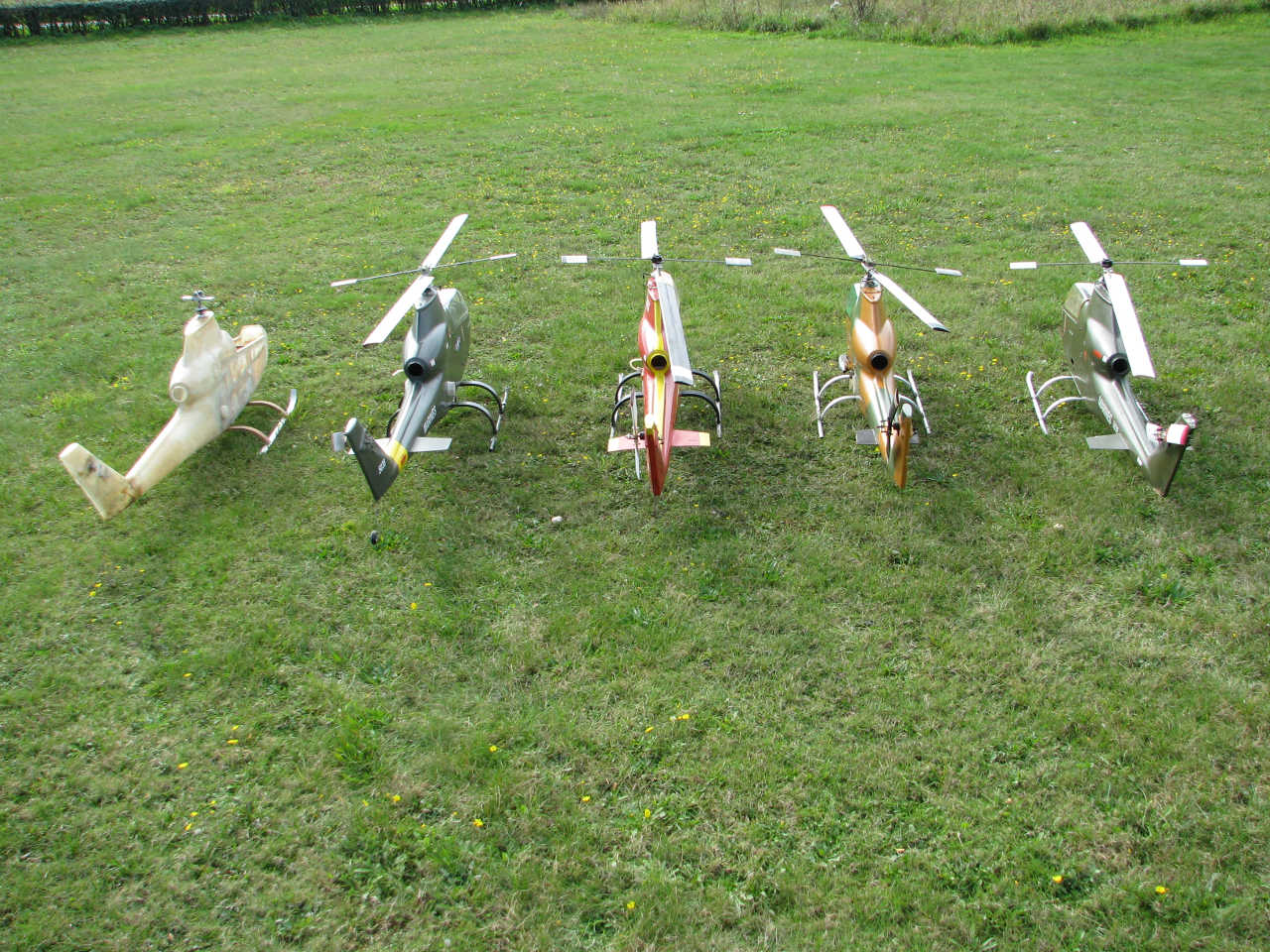 Cobrasammlung auf dem Flugplatz