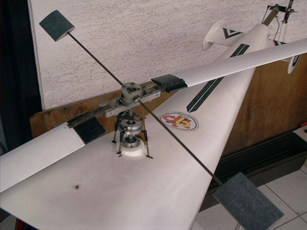 D-S 22 von Hegi - Rotorkopf